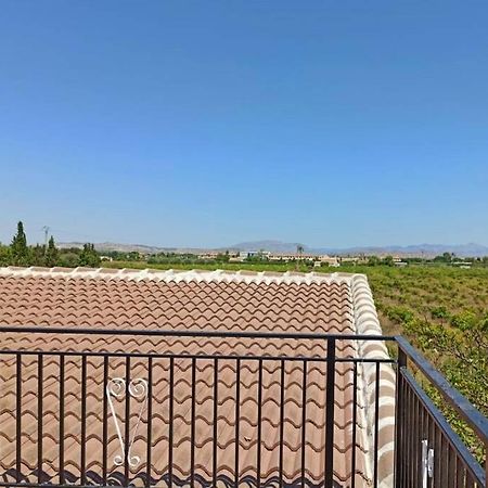 Villa Rustica Privada Con Gran Chalet Y Piscina Elche Bagian luar foto