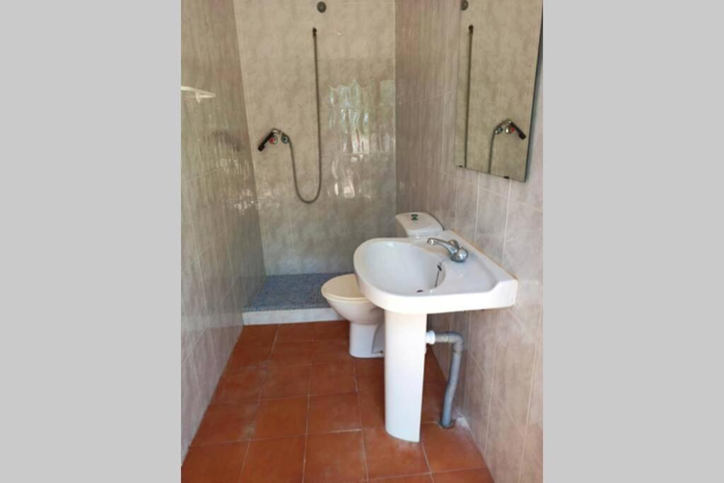 Villa Rustica Privada Con Gran Chalet Y Piscina Elche Bagian luar foto
